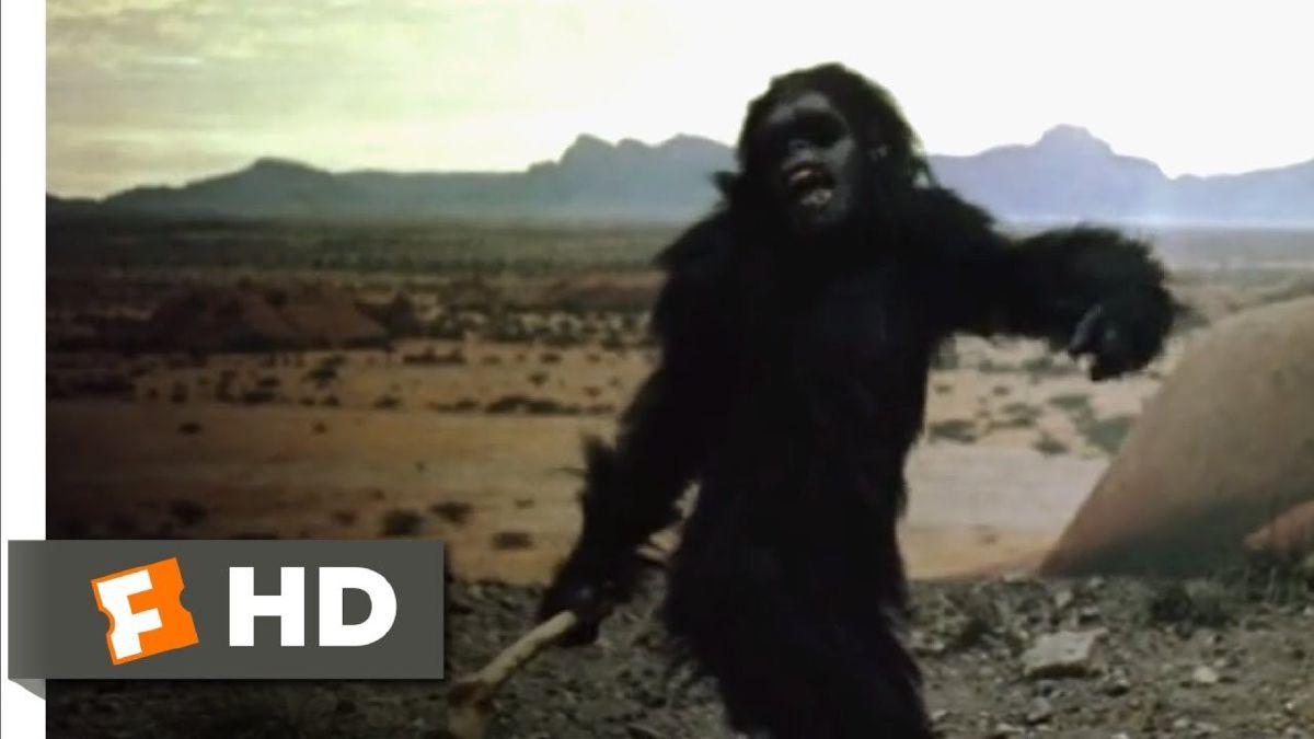 Bone-to-satellite match cut from 2001: A Space Odyssey
